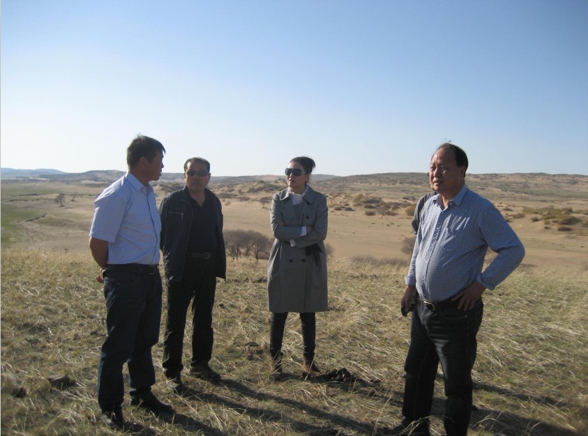 發(fā)揮資源優(yōu)勢，提高產(chǎn)業(yè)鏈競爭力——協(xié)會為企業(yè)間的合作搭建平臺